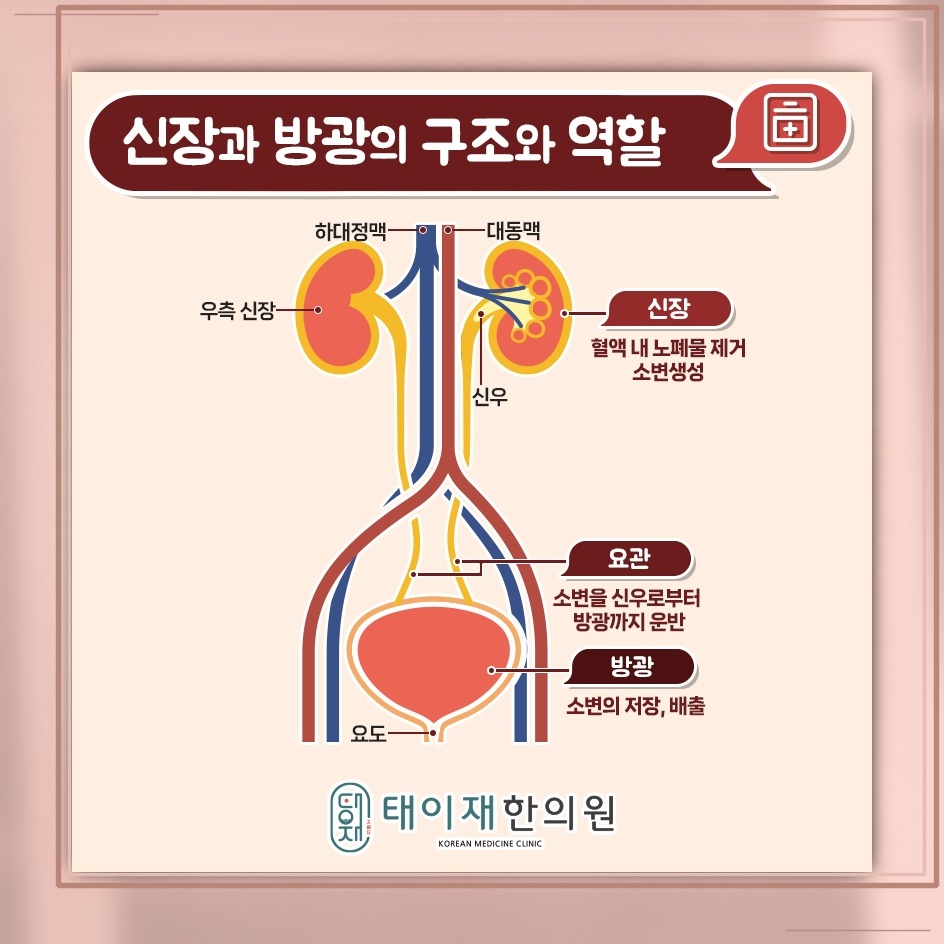 만성 방광염이 반복될 때 재발을 줄이는 생활 관리