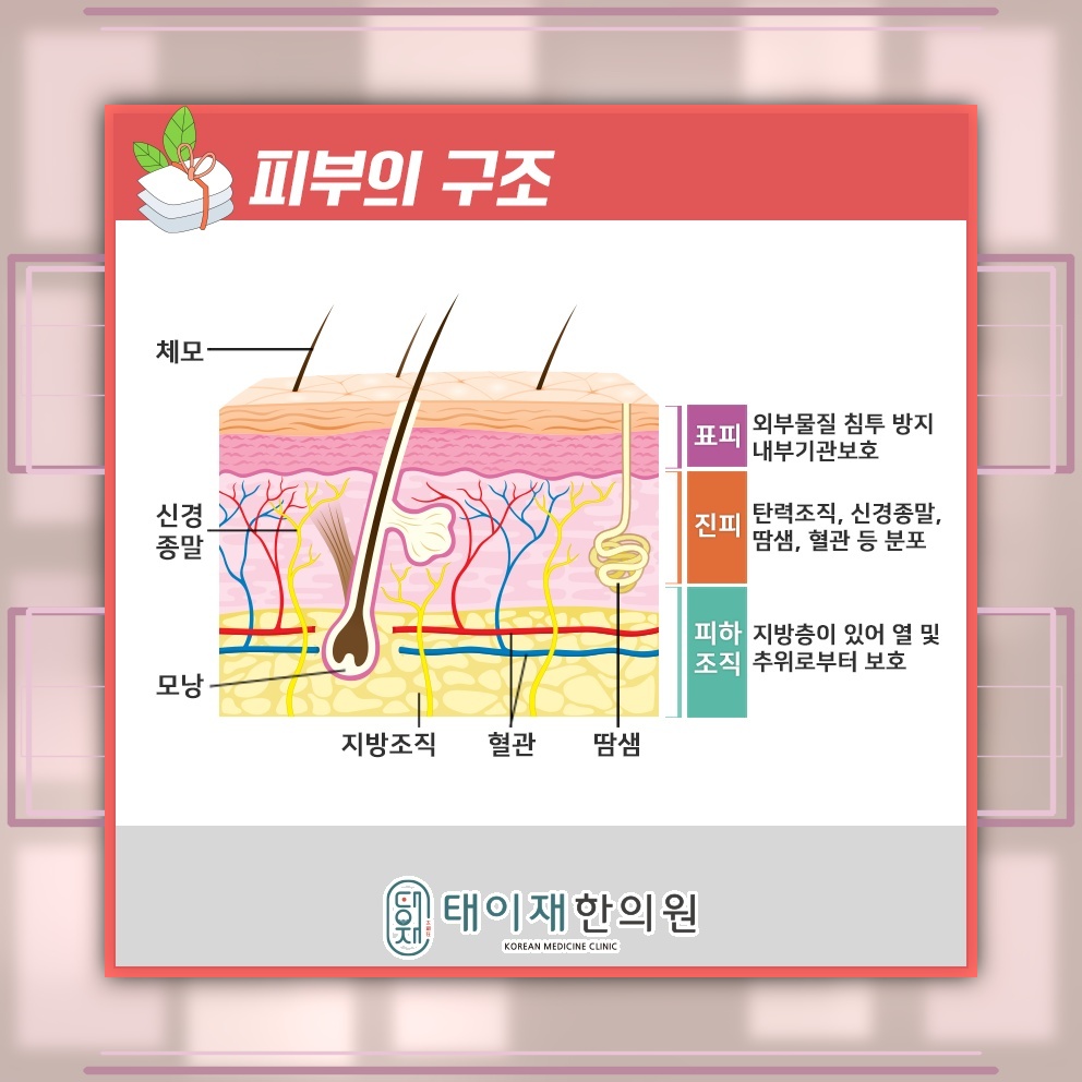 뚜렷한 원인 없이 이어지는 만성 두드러기 관리