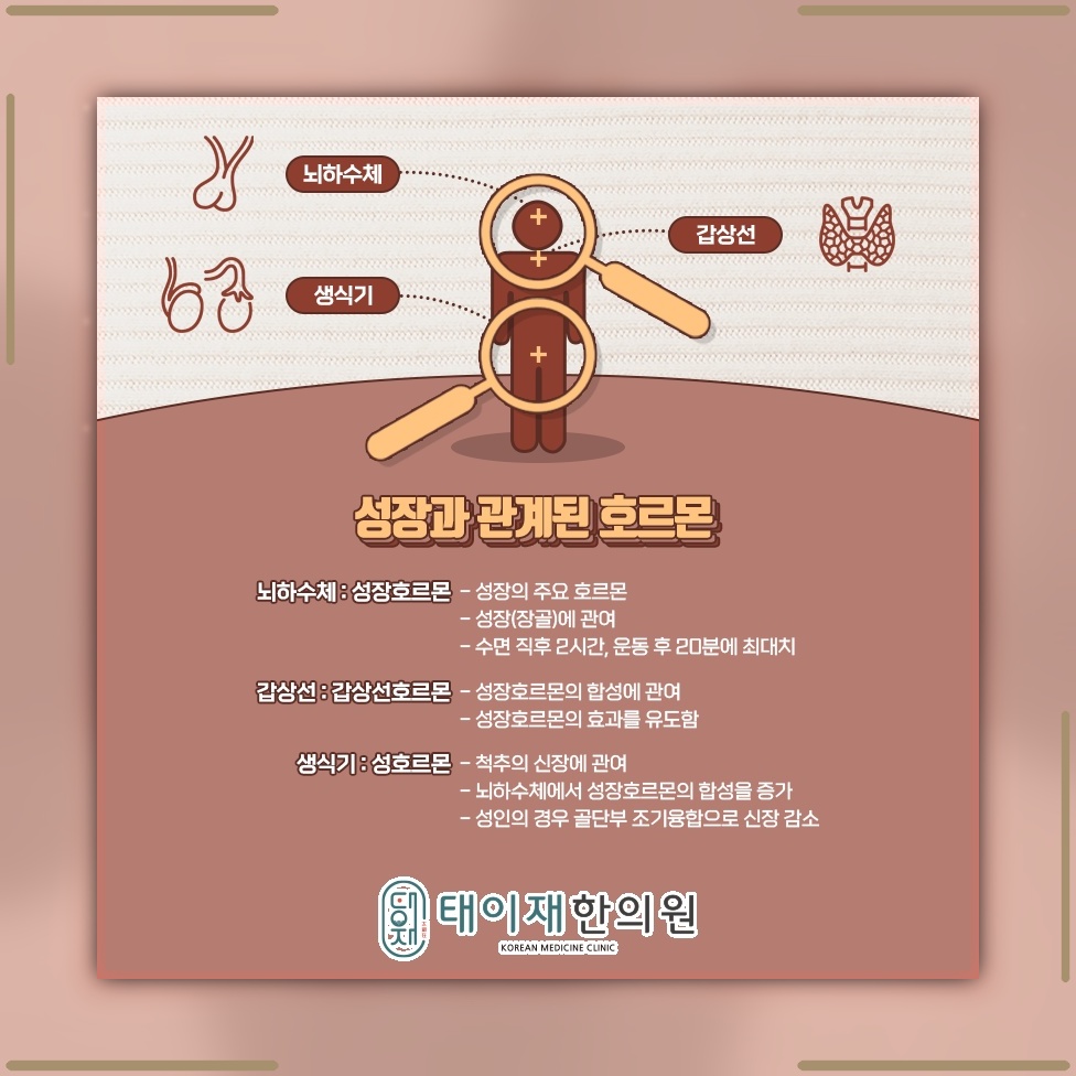 사춘기 성장에 영향을 주는 요인과 관리 방향