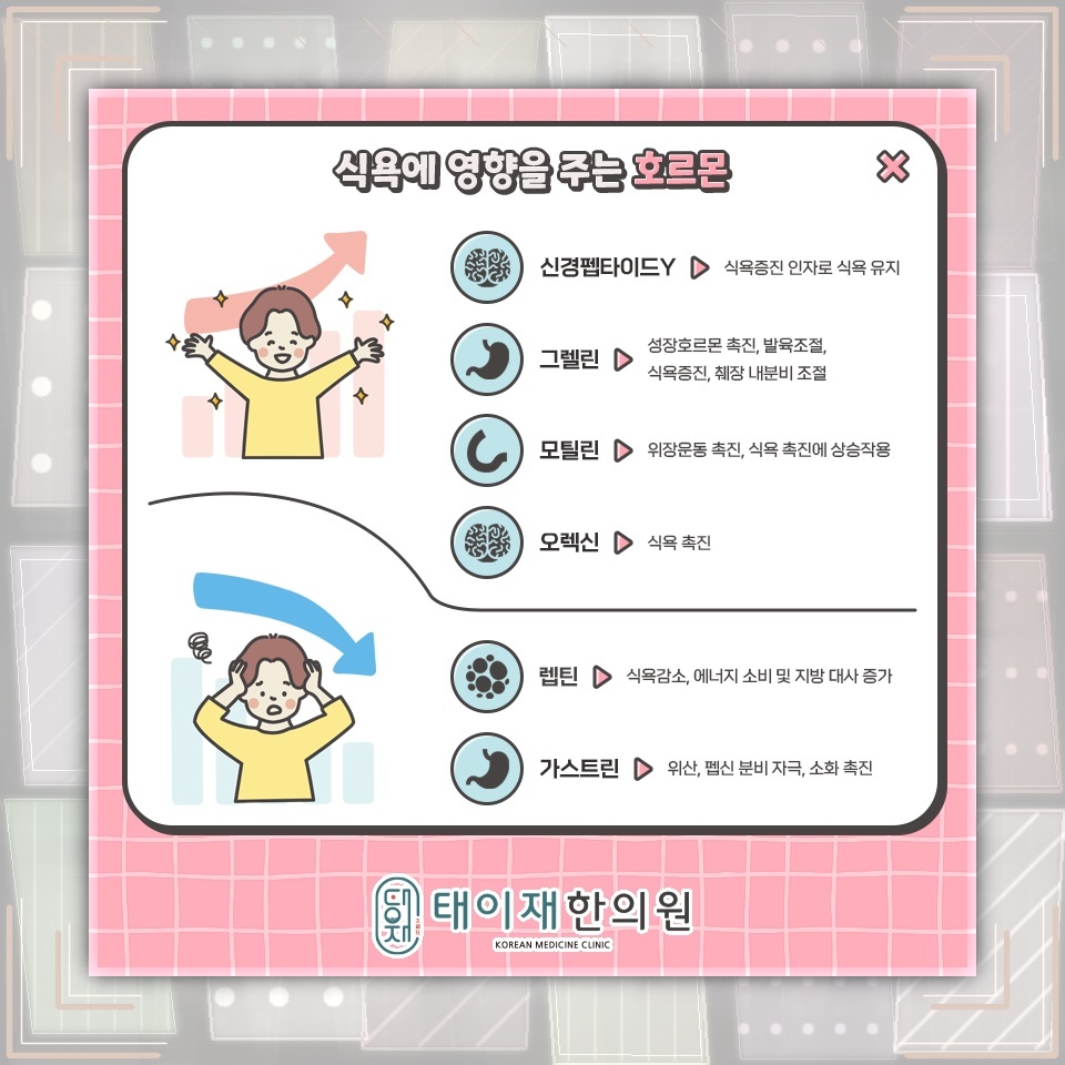 식사 선택이 제한되는 편식, 식욕부진 범주에서 이해하기
